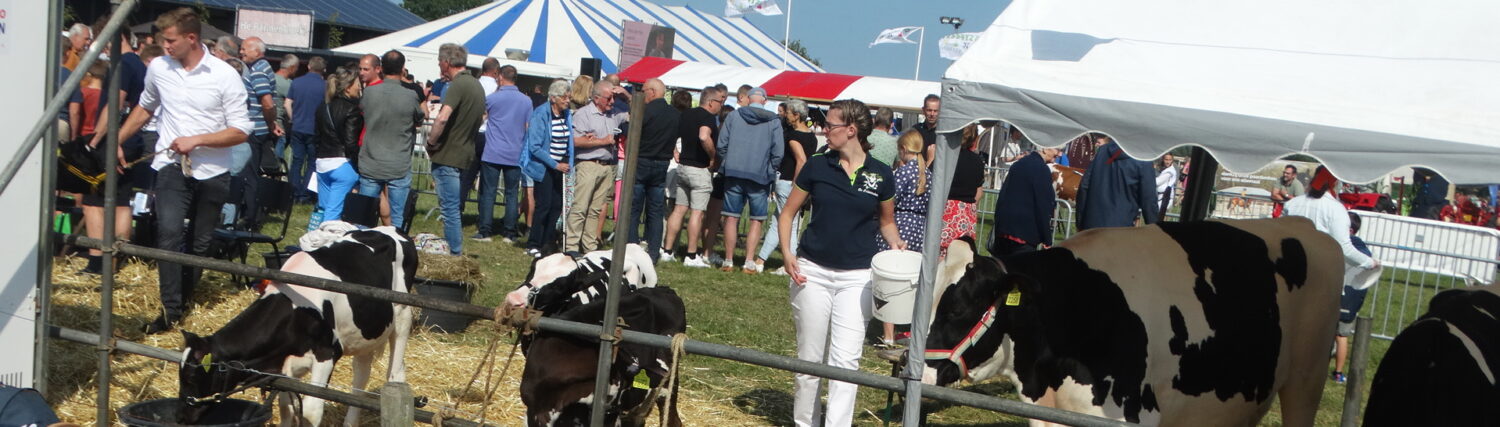 OOGSTFEEST KROMME RIJNSTREEK